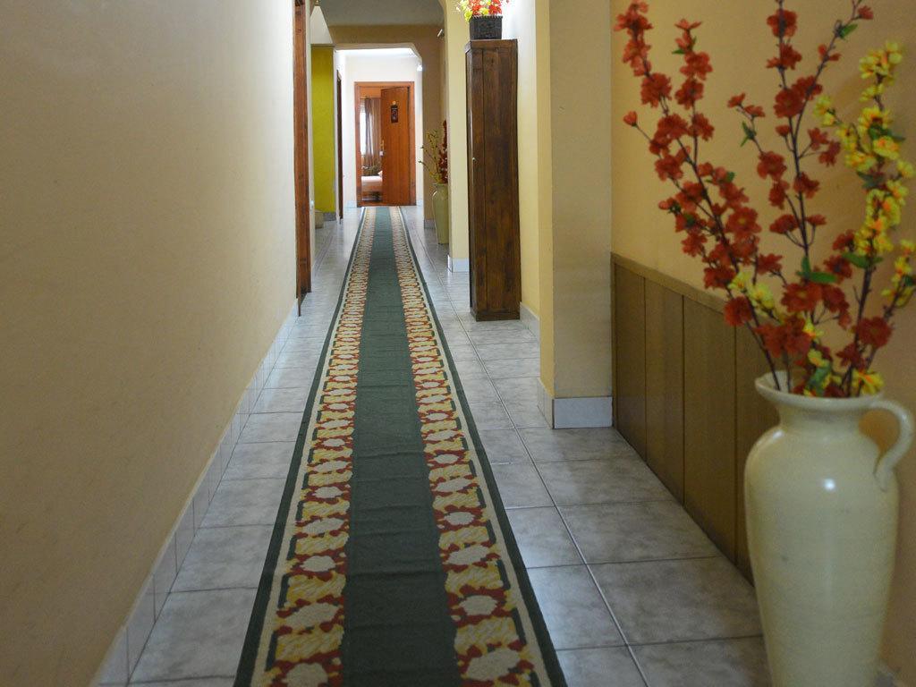 Guest House Vila Bor نوفي ساد المظهر الخارجي الصورة